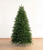 Fraser Fir Trees - Image 3